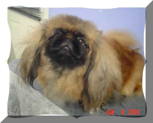 CH. Quadra 's thaina